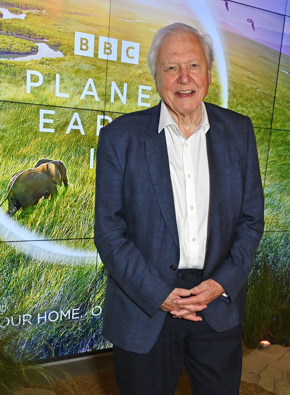 monsieur David Attenborough