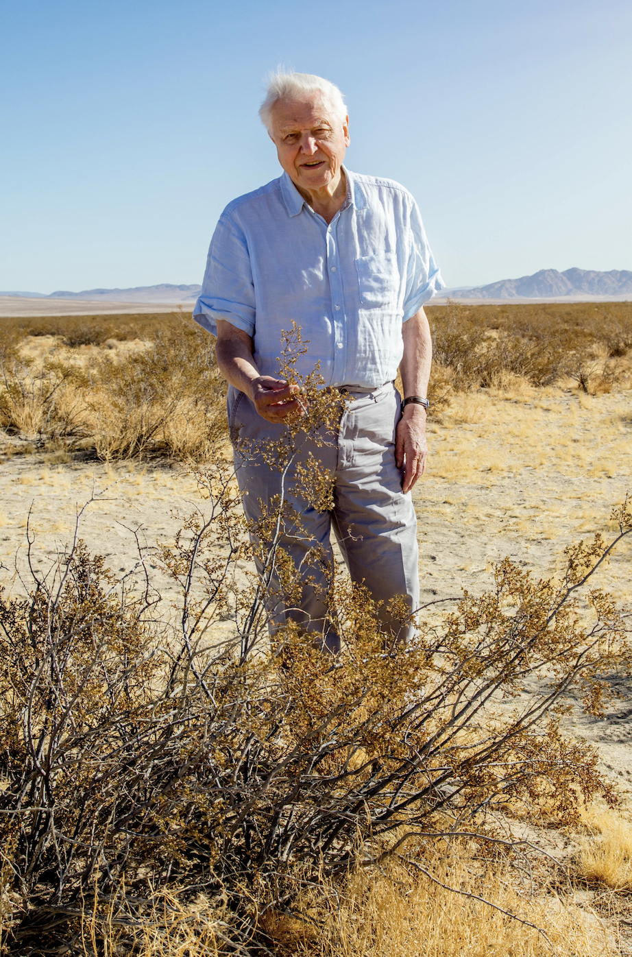 Sir David Attenborough debout dans le désert du sud de la Californie