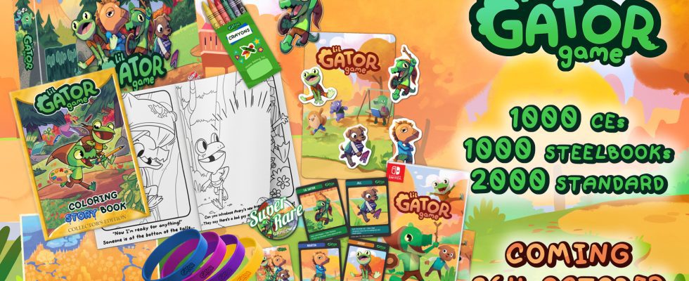 Lil Gator Game obtient une sortie physique sur Switch