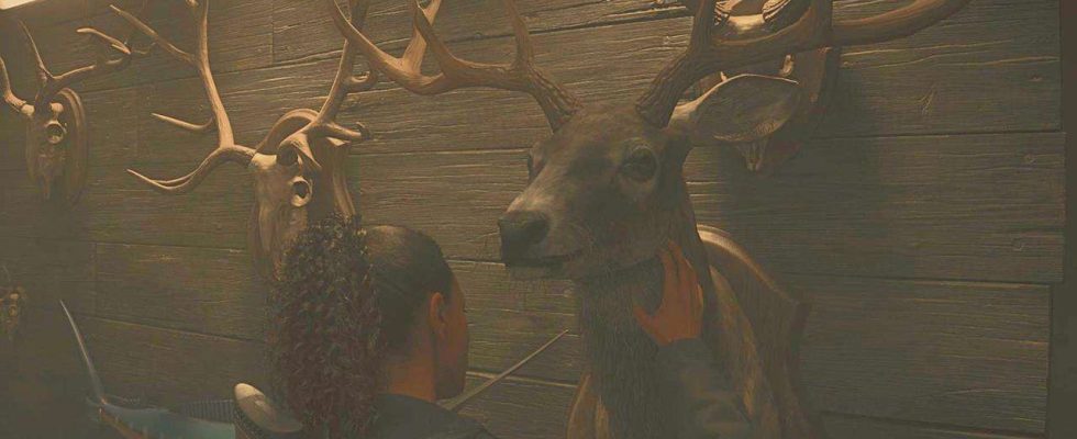 Alan Wake 2 – Emplacements de la taxidermie Deer Head