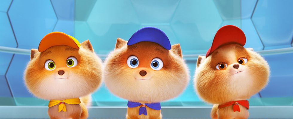 PAW PATROL: THE MIGHTY MOVIE, from left: Mini (voicec: North West), Nano (voice: Alan Kim), Tot (voice: Brice Gonzalez), 2023. © Paramount Pictures / Courtesy Everett Collection