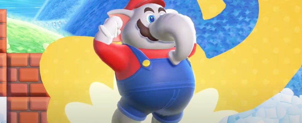 Internet pense brièvement avoir identifié le nouveau doubleur de Mario – jusqu'à ce qu'il dise non