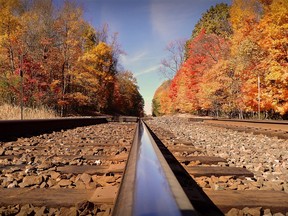 Une vue sur la voie ferrée à travers un bois aux États-Unis un jour d'automne.