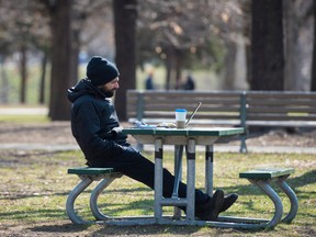 Un homme travaille sur son ordinateur portable dans un parc de Toronto.
