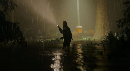 Alan Wake 2 screenshot detail