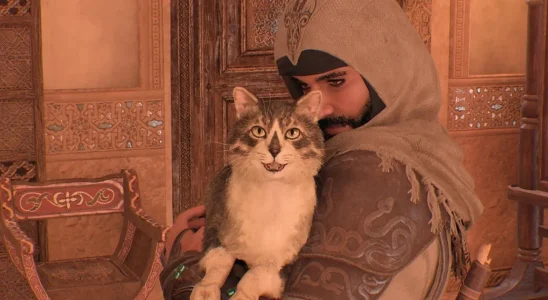Non, ce n'est pas votre imagination - Assassin's Creed Mirage comprend un chat avec l'emblème de l'Assassin sur le nez