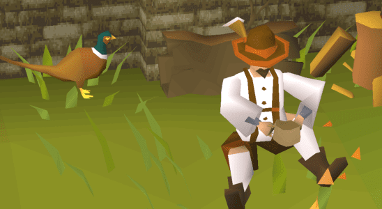 A forester from Old School Runescape, contemplating life next to his pheasant friend on a green field.