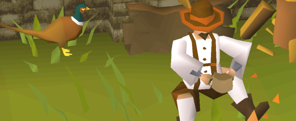 A forester from Old School Runescape, contemplating life next to his pheasant friend on a green field.
