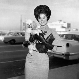 L'épouse du chanteur de rock and roll Elvis Presley, Priscilla Beaulieu Presley, avec son chien, Honey, à l'aéroport international de Memphis, Memphis, Tennessee, le 11 janvier 1963. (Photo par Michael Ochs Archives/Getty Images)
