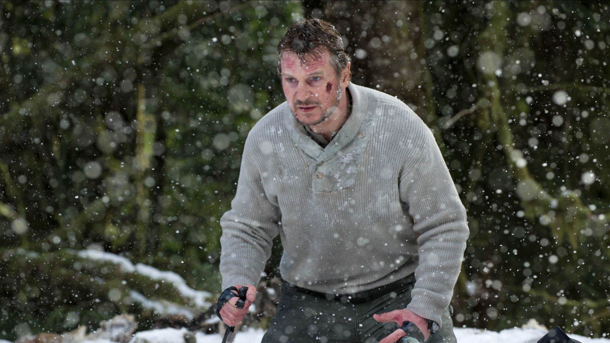 Liam Neeson dans Le Gris