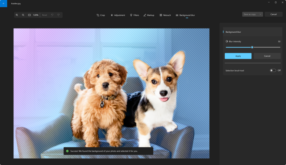 La fonctionnalité Background Blue de l'application Photos de Windows 11, montrant deux chiens sur une chaise sur un arrière-plan flou.