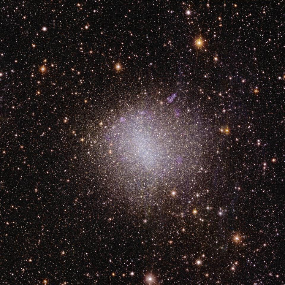 Vue de la sonde spatiale Euclide sur la galaxie irrégulière NGC 6822