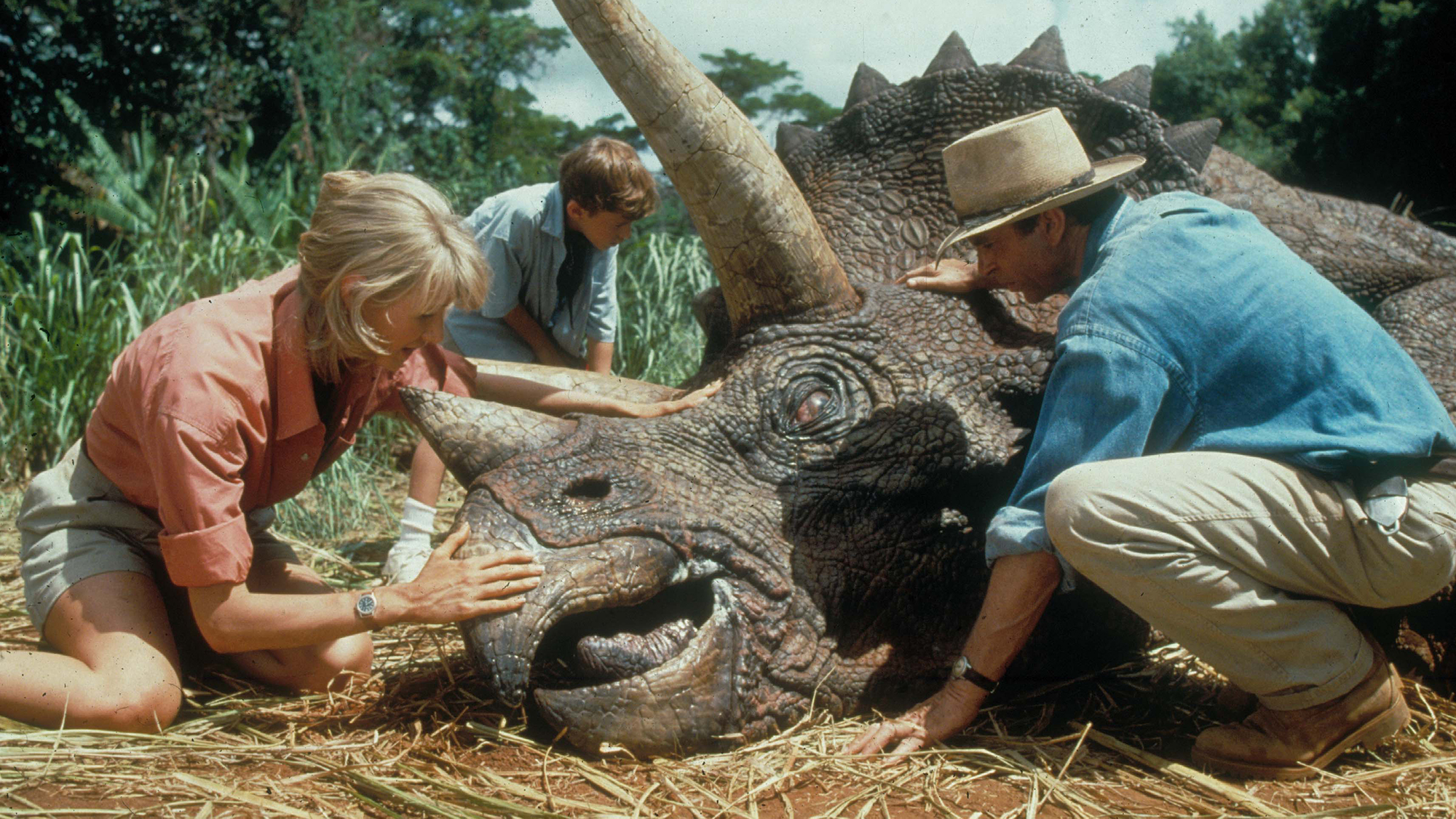 (De gauche à droite) Laura Dern dans le rôle d'Ellie Sattler, Joseph Mazzello dans le rôle de Tim Murphy et Sam Neill dans le rôle d'Alan Grant, s'occupant d'un tricératops dans Jurassic Park