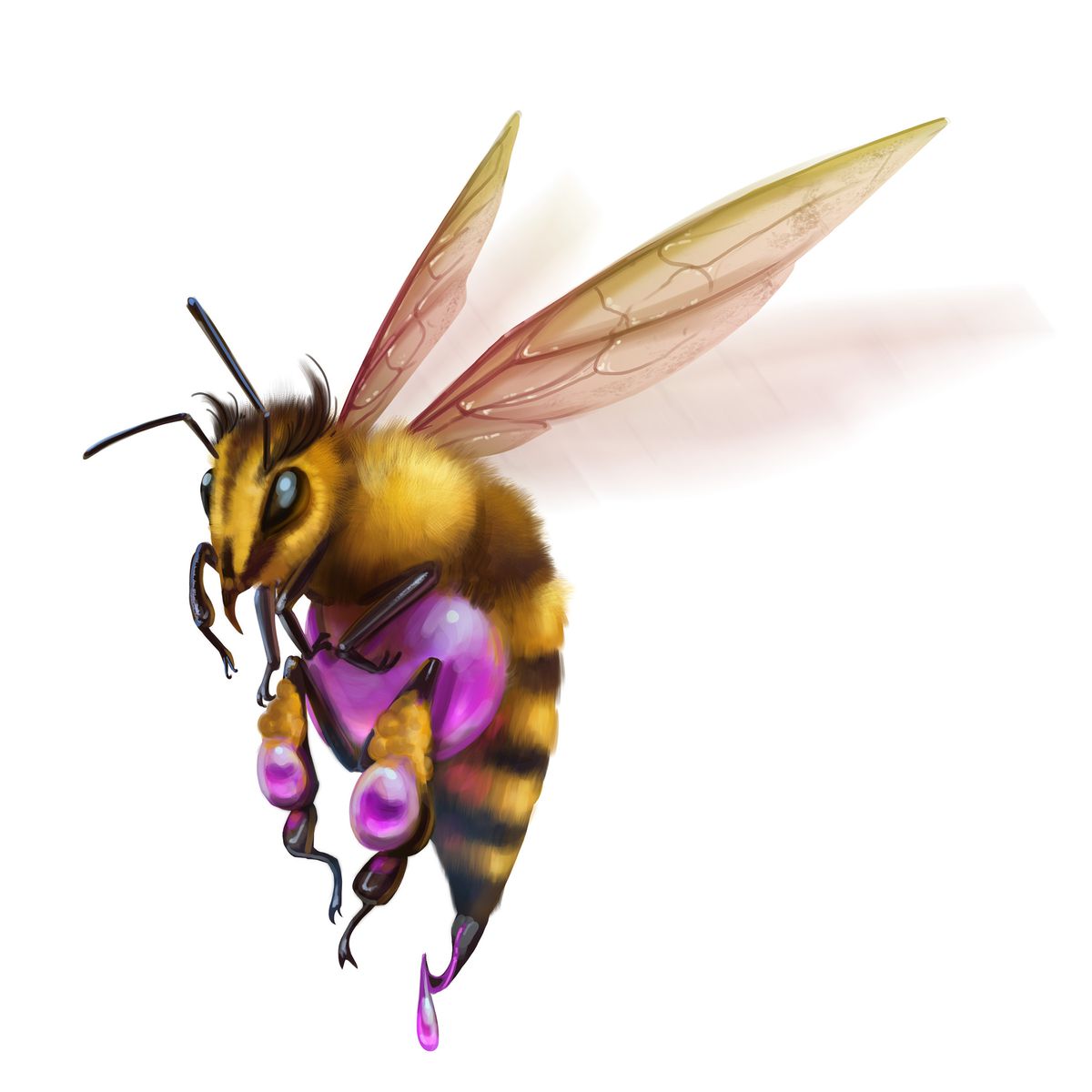 Une grande abeille poilue avec un sac violet au-dessus et sur ses pattes.  De l'ichor violet tombe de son dard.