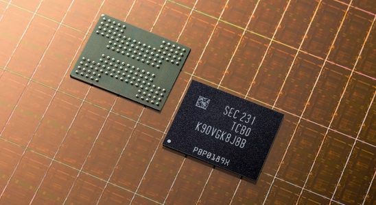 A photo of two Samsung NAND flash chips