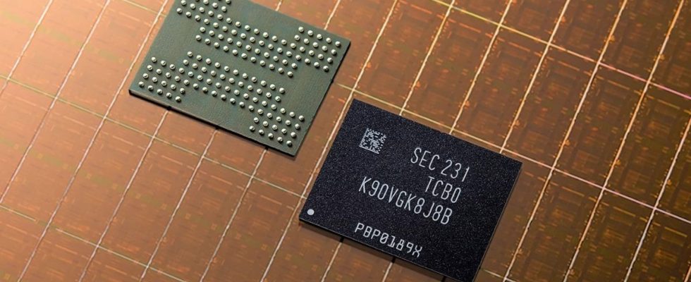 A photo of two Samsung NAND flash chips