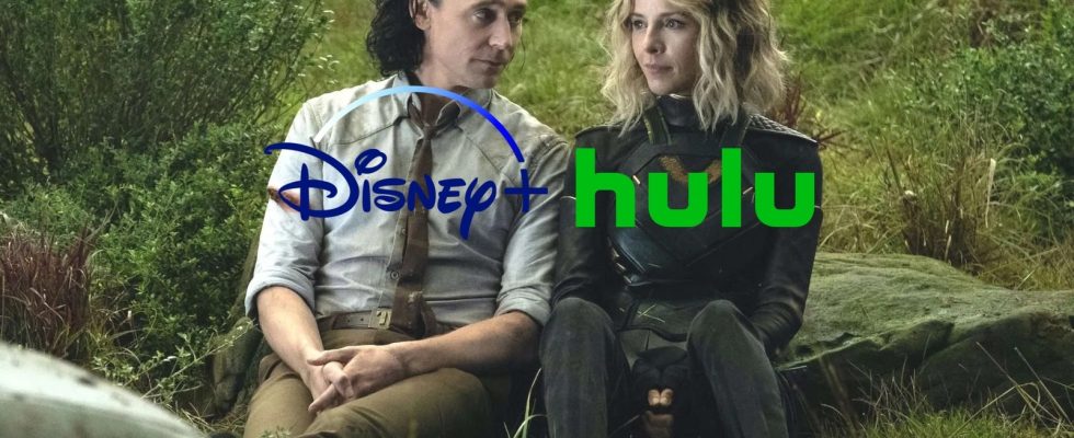 L'application fusionnant Disney+ et Hulu sera lancée en version bêta le mois prochain, signalant la prochaine phase de la guerre du streaming