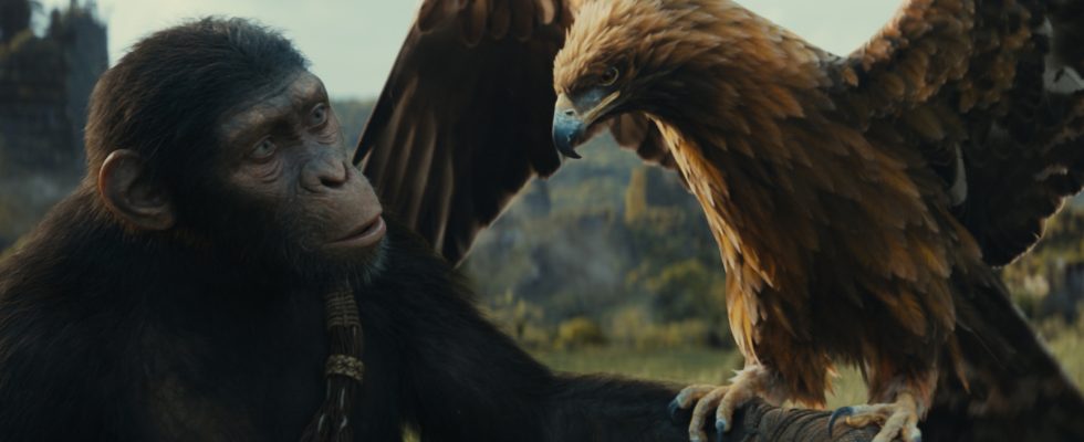 Le réalisateur de Kingdom Of The Planet Of The Apes voulait s'assurer que le film contienne un « petit peu de Star Wars »