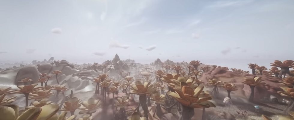 Screenshot from a Morrowind video showing a piece of land stretching into the horizon.