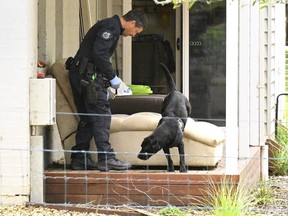 Un policier et un chien enquêtent sur la propriété d'Erin Patterson à Leongatha, en Australie, le jeudi 2 novembre 2023.