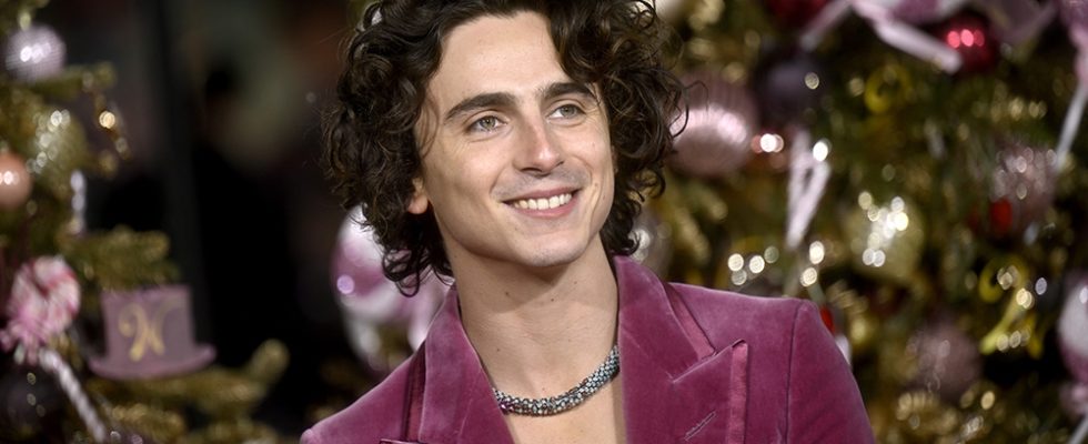 LONDON, ENGLAND - NOVEMBER 28: Timothee Chalamet attends the Warner Bros. Pictures  world premiere of "Wonka" at The Royal Festival Hall on November 28, 2023 in London, England. (Photo by Gareth Cattermole/Getty Images for Warner Bros. Pictures)