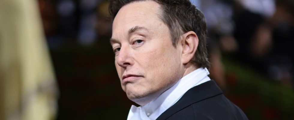 Elon Musk - Twitter deal