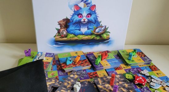 The box, tokens, and board pieces of Race to the Raft