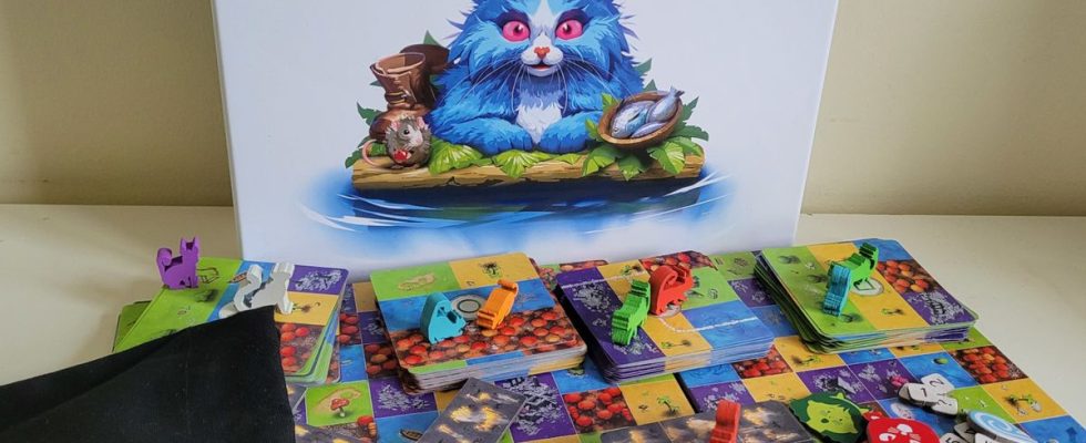 The box, tokens, and board pieces of Race to the Raft