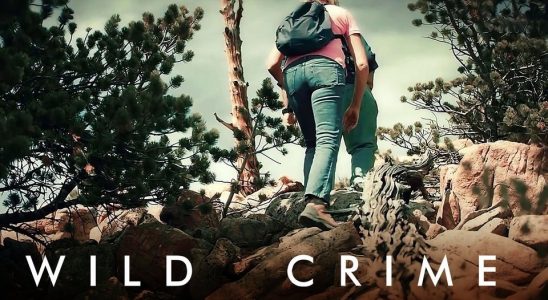 Wild Crime TV Show on Hulu: canceled or renewed?