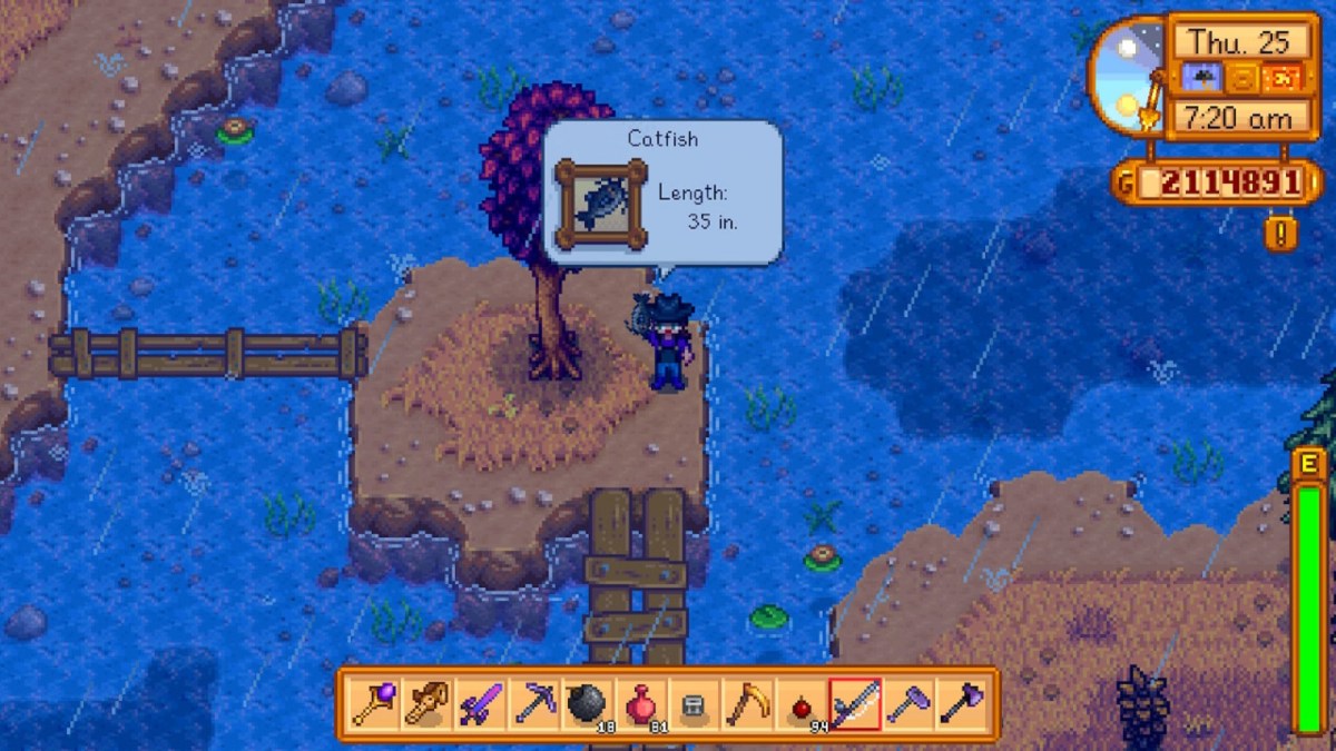 Le joueur attrape un poisson-chat dans Stardew Valley.