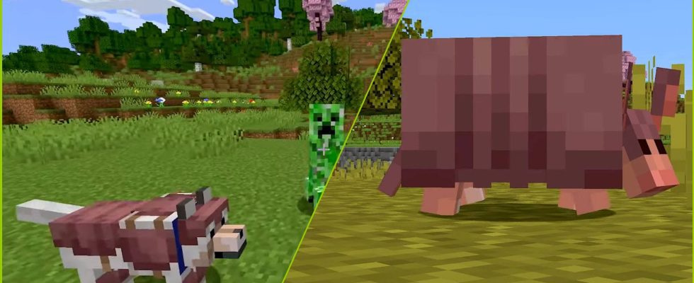 Minecraft présente l'armure de tatou et de loup, disponible maintenant en version bêta et en aperçu