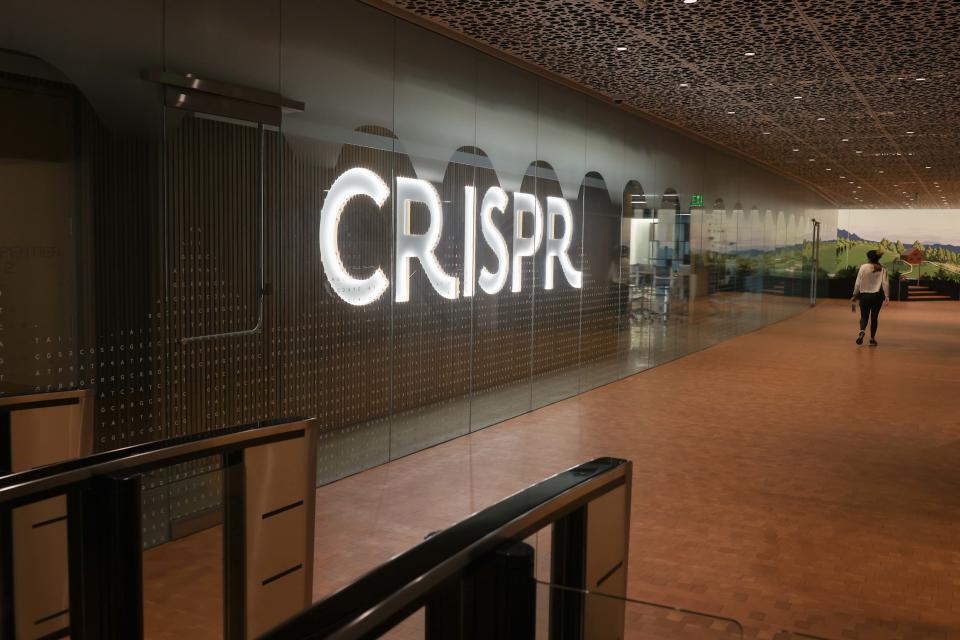 Boston, MA - 5 décembre : le hall de Crispr Therapeutics.  (Photo de Jonathan Wiggs/The Boston Globe via Getty Images)