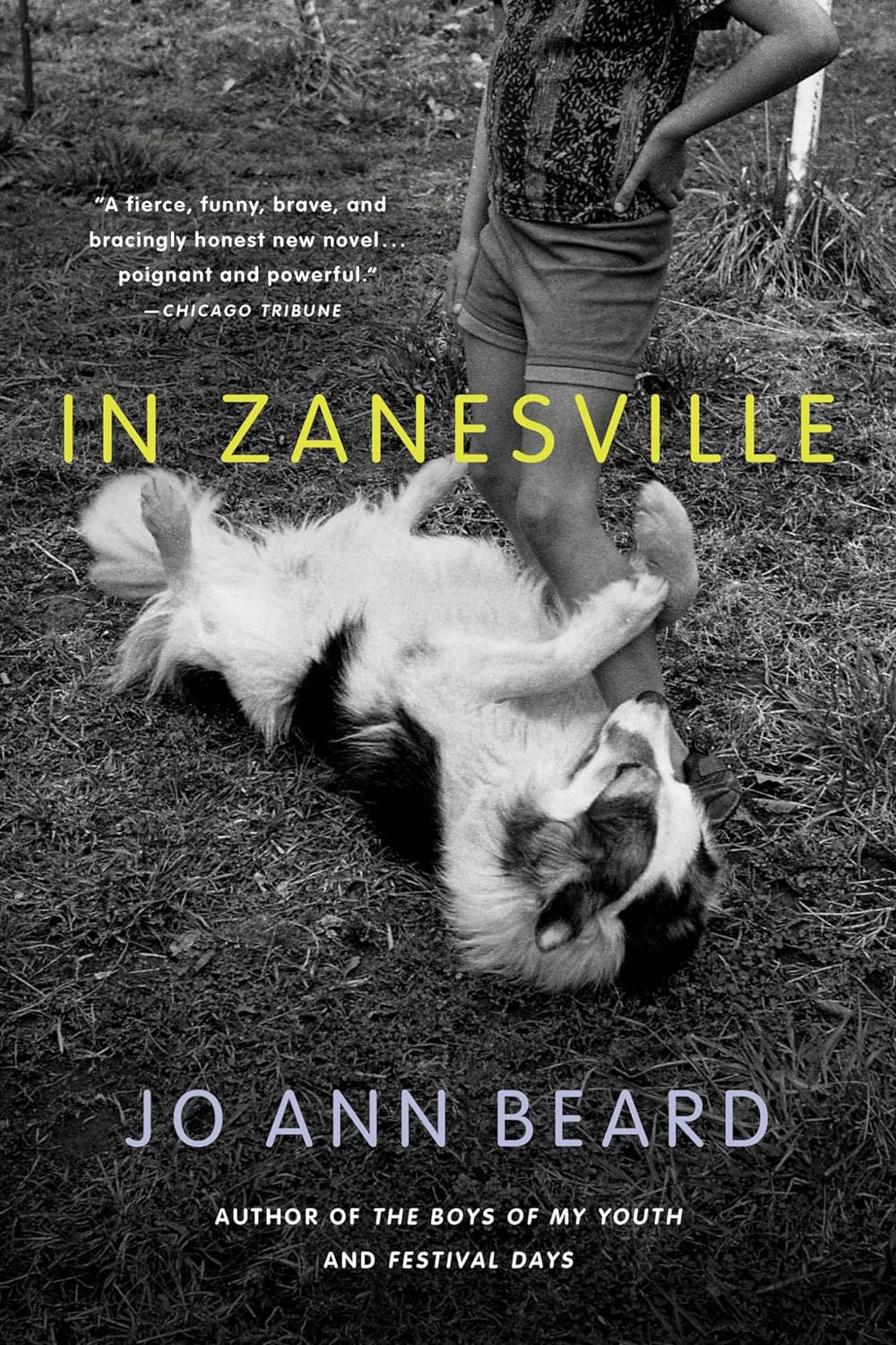 À Zanesville de Jo Ann Beard - couverture du livre