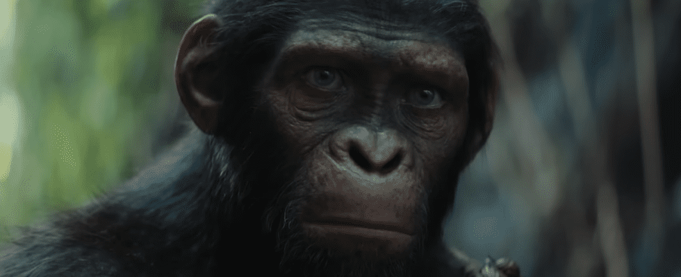 "Apocalypto With Apes" : le producteur du Royaume de la planète des singes et d'autres parlent de la vision du réalisateur Wes Ball pour le nouveau film