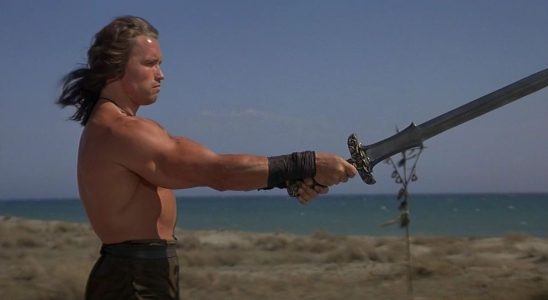 Arnold Schwarzenegger in Conan the Barbarian