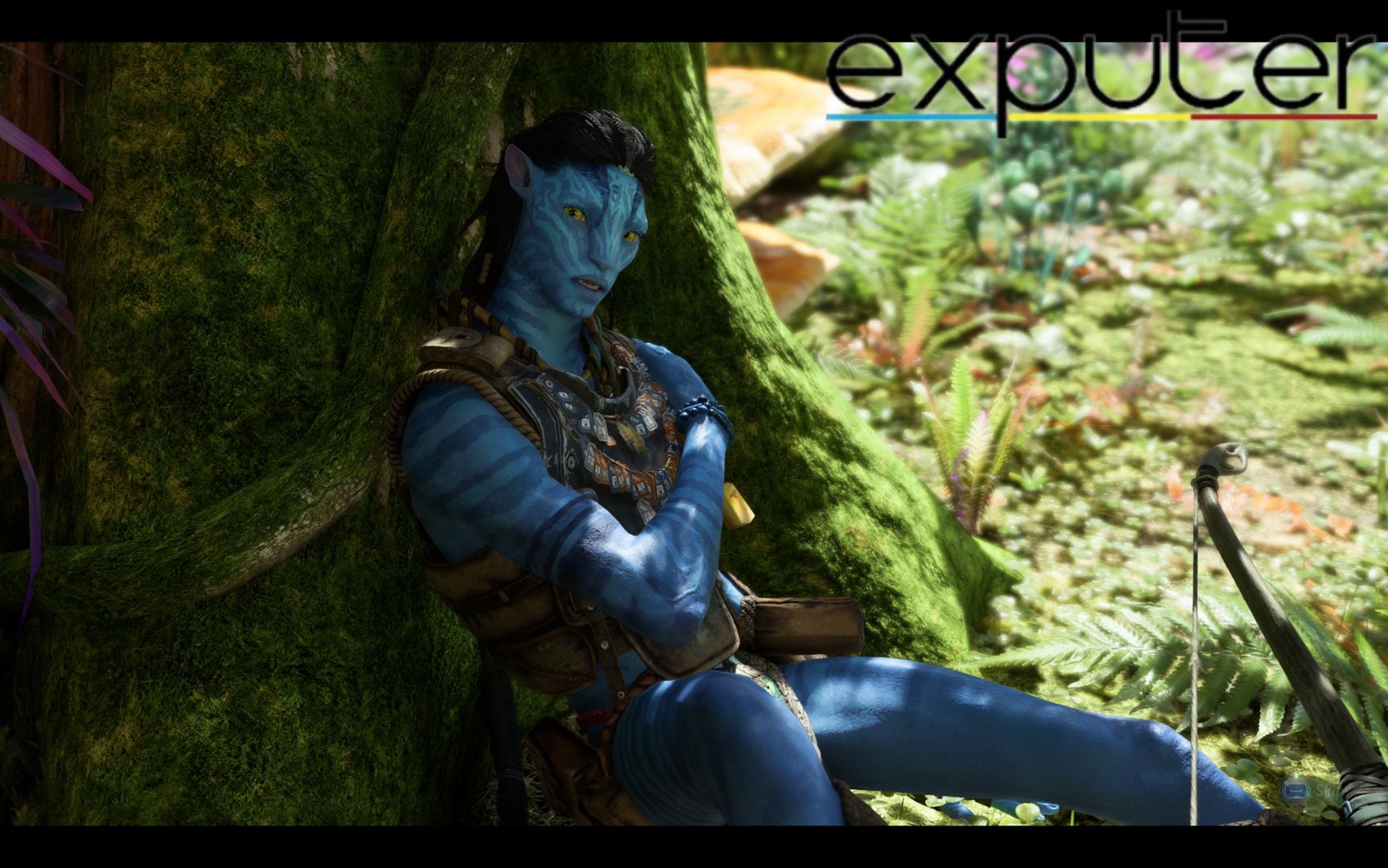 Examen des frontières d'Avatar de Pandora