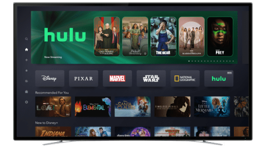Hulu on Disney+ beta home screen