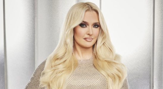 Erika Jayne in Real Housewives of Beverly Hills