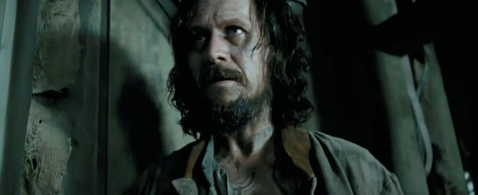 Gary Oldman as Sirius Black in Harry Potter and the Prisoner of Azkaban.