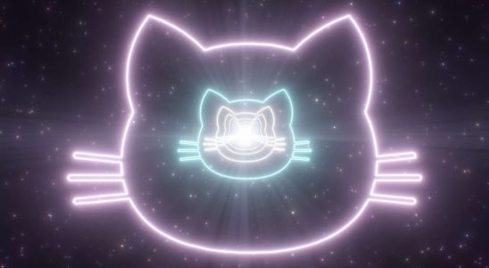 An abstract image of three stylised cat heads, drawn in neon lighting outlines, against a backdrop of a starfield in space