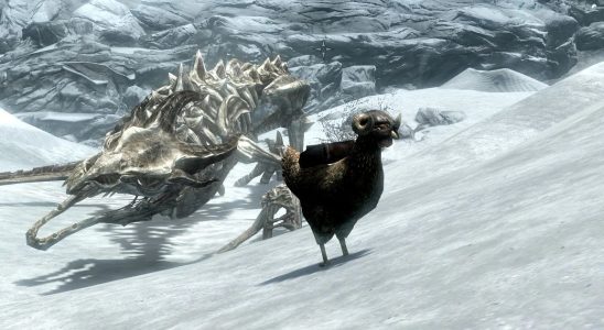 A chicken in an iron helmet stands near a dragon