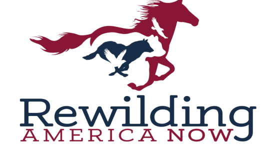 Rewilding America Now