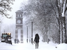 DOSSIER - Des étudiants marchent dans la neige sur le campus de l'Université du Wisconsin à La Crosse alors qu'un membre du personnel, à gauche, déblaye la neige lors d'une tempête le 2 février 2016. L'ancien chancelier de l'Université du Wisconsin-La Crosse, Joe Gow, a déclaré jeudi 2 décembre. Le 28 décembre 2023, les régents l'ont licencié parce qu'ils n'étaient pas à l'aise avec le fait que lui et sa femme produisaient et apparaissaient dans des vidéos pornographiques.