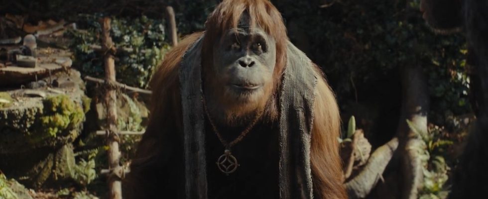 Le nouveau film La Planète des singes se déroule bien après la trilogie précédente