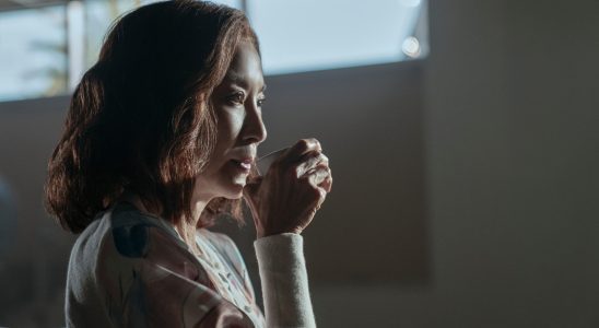 Netflix et Michelle Yeoh s'associent pour une série d'action-comédie dans la bande-annonce de Brothers Sun