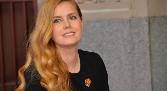 Amy Adams to star in The Holdout TV Show