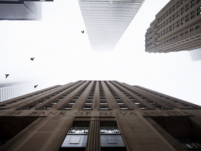 Des oiseaux volent parmi les tours des banques du centre-ville de Toronto