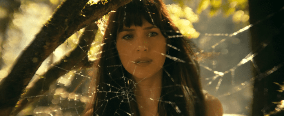 Madame Web Dakota Johnson looks at a web in forest