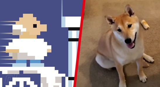 Aléatoire : Games Done Quick vient de présenter son tout premier chien de course rapide