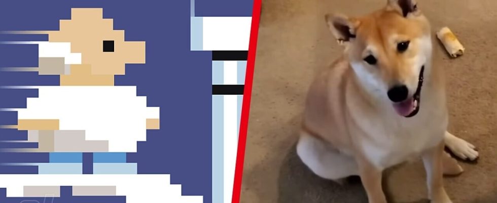 Aléatoire : Games Done Quick vient de présenter son tout premier chien de course rapide